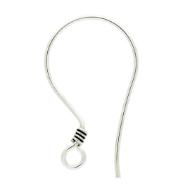 Silver Ear Wires EW4001S