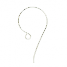 Silver Ear Wires EW4021