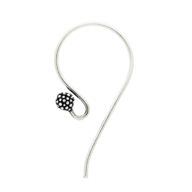 Silver Ear Wires EW4024