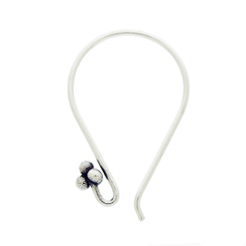 Silver Ear Wires EW4035